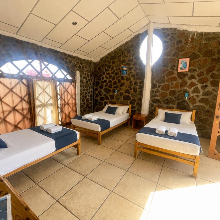 Penguin Hostel - Triple Room - 4