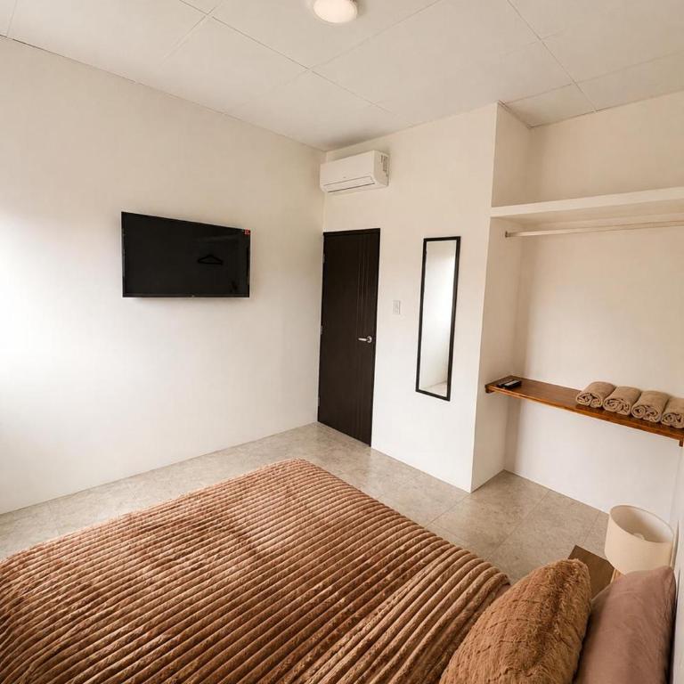 Galápagos Shark Apartment - Two-Bedroom Apartment - 7