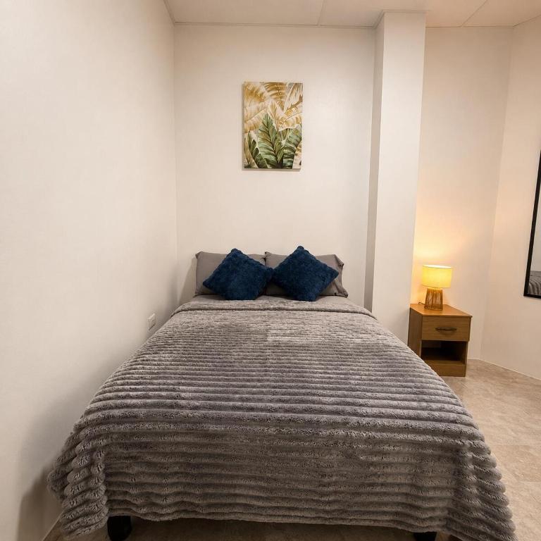 Galápagos Shark Apartment - Two-Bedroom Apartment - 13