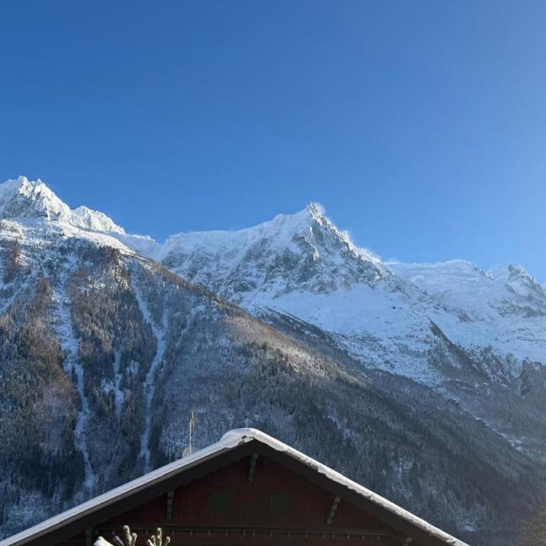 Luxury Chalet Sleeps 10 Mont Blanc View Hammam - Chalet - 9