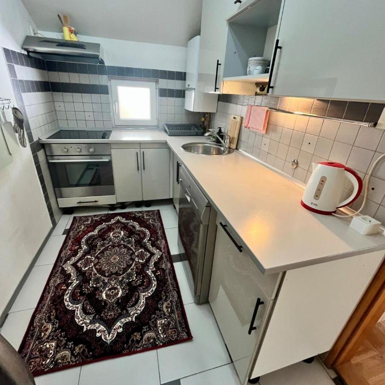 Vintage Penthouse Apartment Sarajevo - Apartman sa 2 Spavaće Sobe - 27
