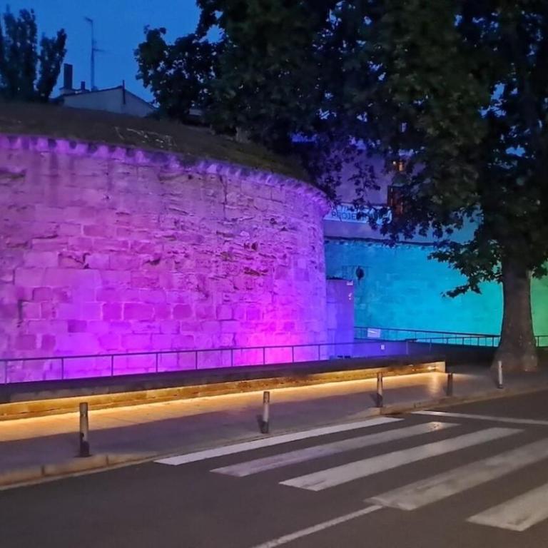 MURALLAS DE REVELIN & LAUREL -casco antiguo- - Appartamento Superior - 20
