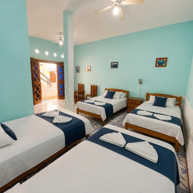 Penguin Hostel - Classic Quadruple Room - 7