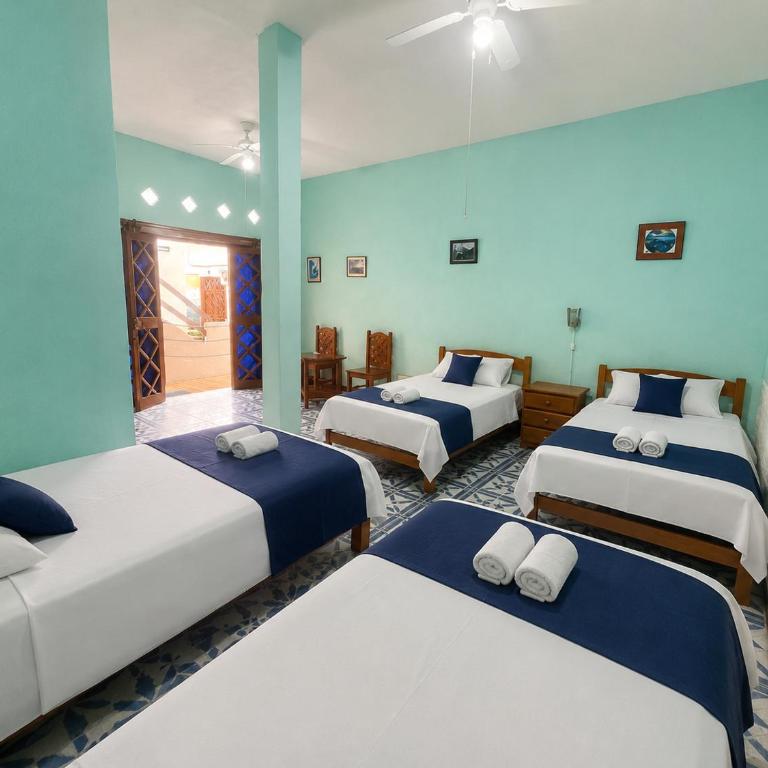 Penguin Hostel - Classic Quadruple Room - 6