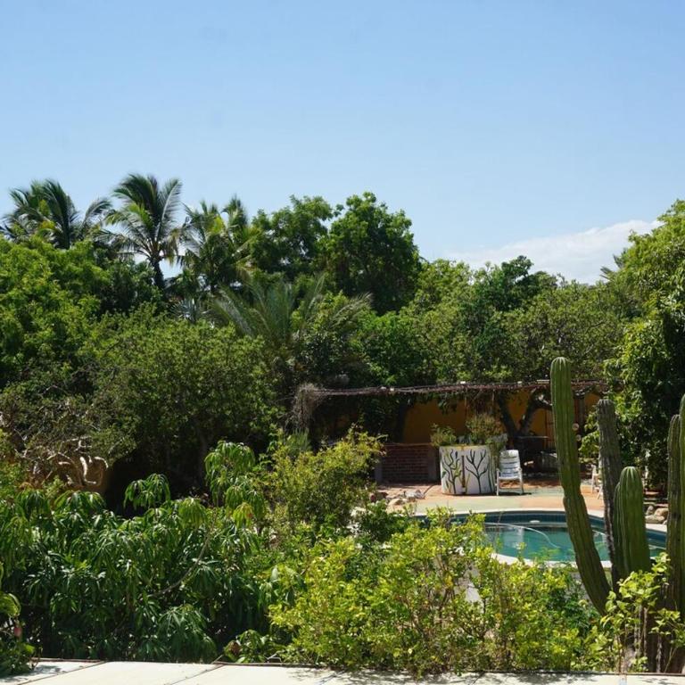Large studio with private patio in Casa Cornucopia - Two-Bedroom Apartment - 6