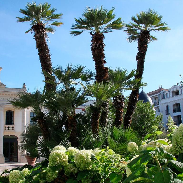 Appartement central avec jardin - 4 pers. - FR-1-319-637 - Appartamento - 12