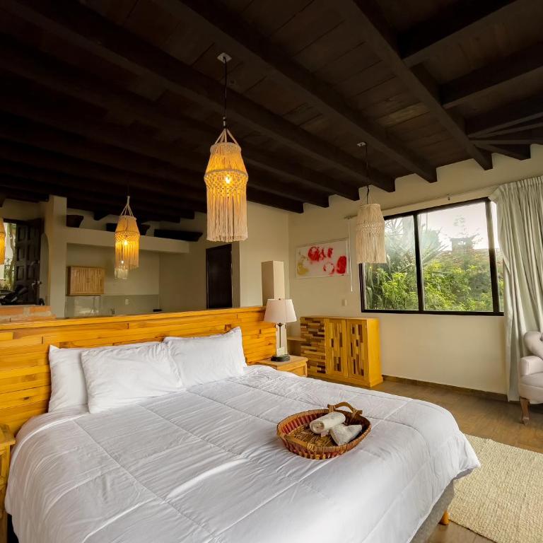 Hotel Quinta los Morales - Suite - 2