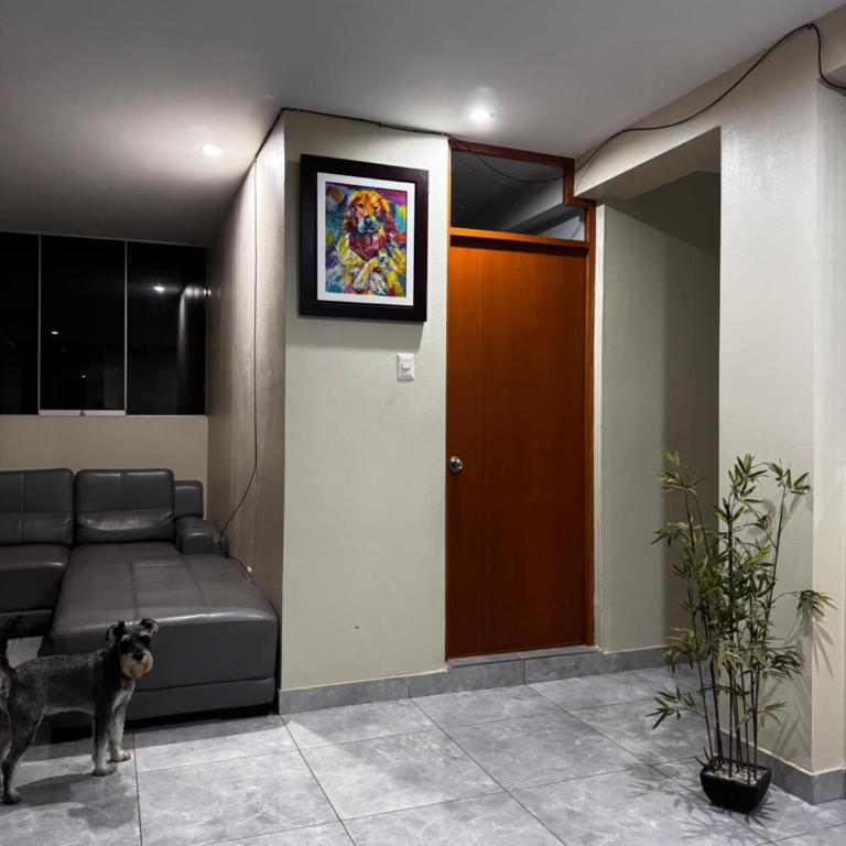 Búnker de Coco - One-Bedroom Apartment - 24
