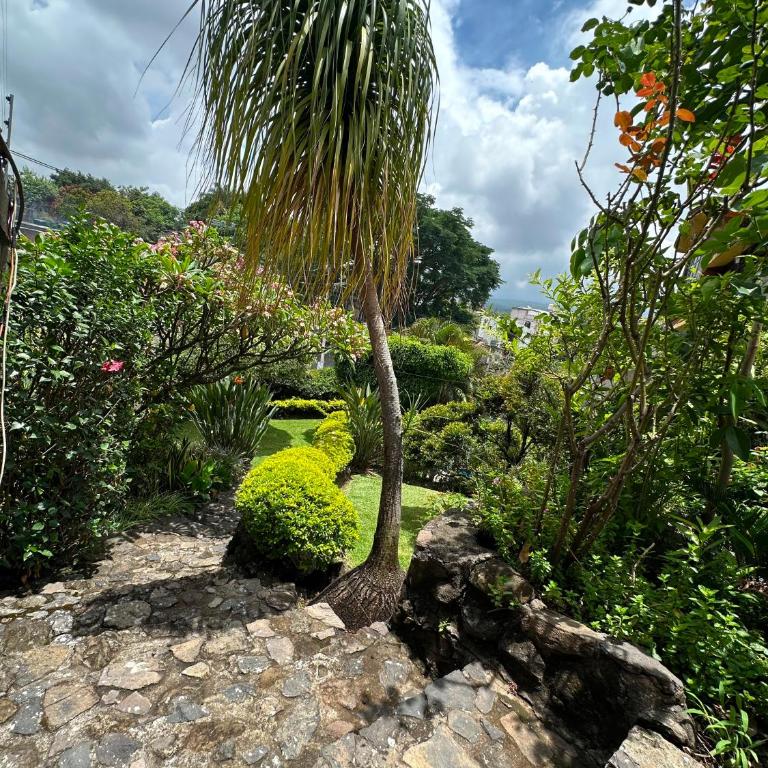 Quinta Huicochea - Three-Bedroom House - 7