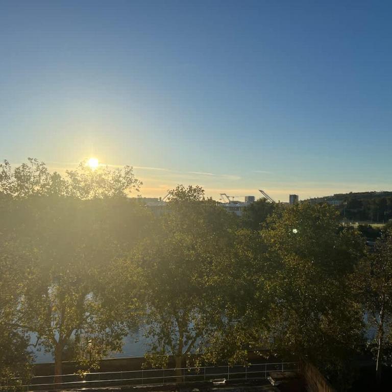 Le Voyageur T2 vue Garonne Saint-Cyprien - Apartment - 21
