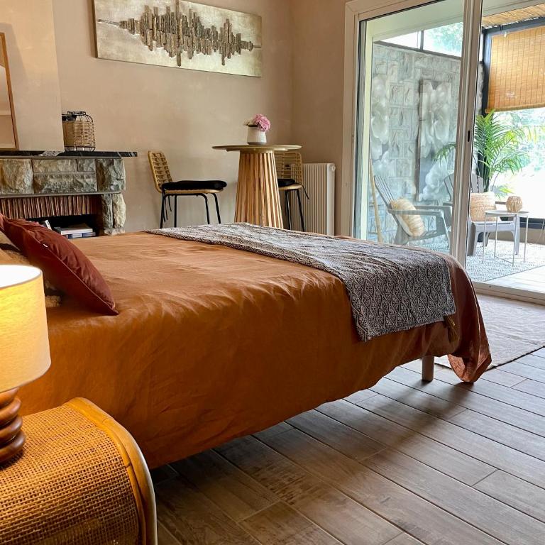 Appart vue Cité, balnéo privée, clim, jardin, parking gratuit - Studio - 29