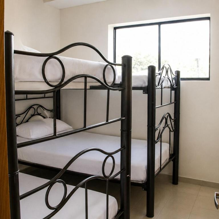 Prima verde - Casa de 5 dormitorios - 16