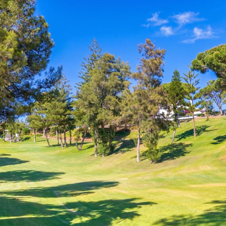 Calahonda Golf - Happy Rentals - Penthouse - 24
