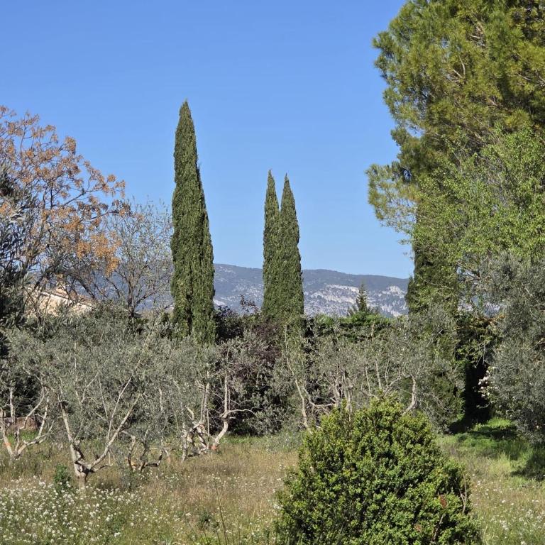 Le Mascalis, Grande maison familiale en Provence - Ferienhaus - 36