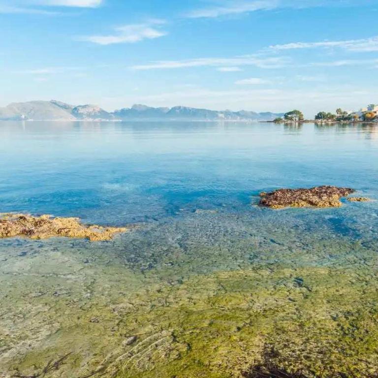 Coastal House Sa Fortalesa in Alcudia - Maison 2 Chambres - 3