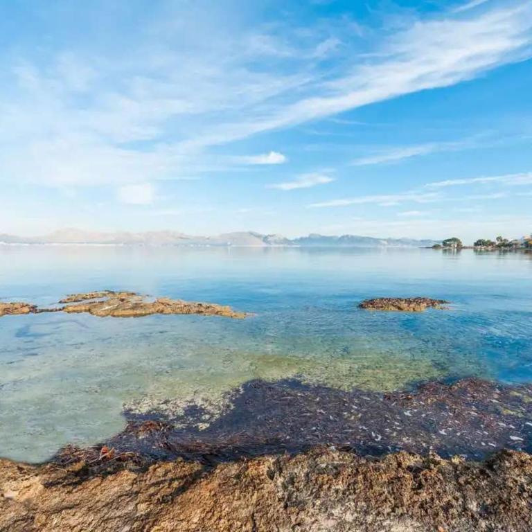 Coastal House Sa Fortalesa in Alcudia - Maison 2 Chambres - 4