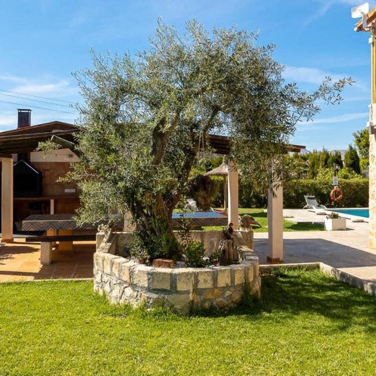 Villa Son Fanals - Villa con piscina privada - 4
