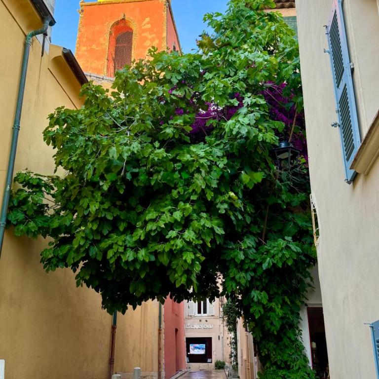 Le Figuier du Clocher - Cœur du vieux village - Apartamento de 1 dormitorio - 2