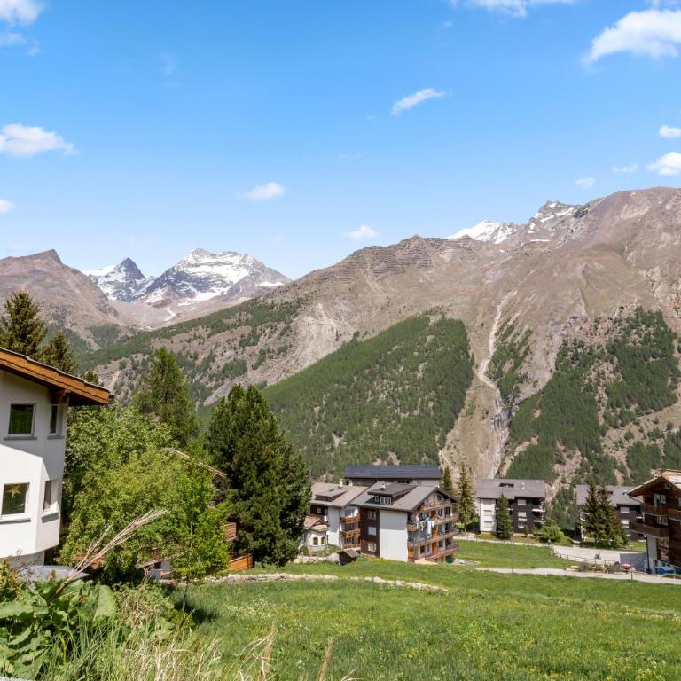 Cocon alpin avec sauna privé et vue incroyable - Studio mit Terrasse - 22