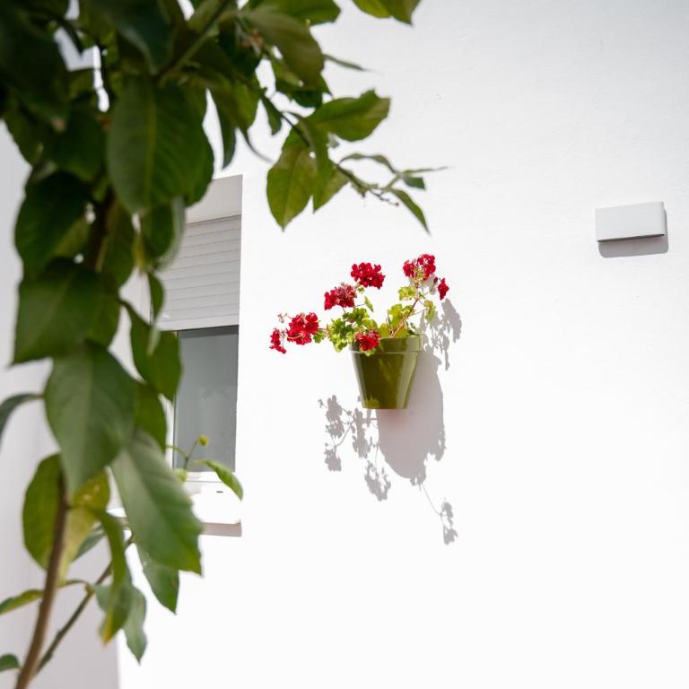 Apartamentos La Barilla - Apartamento de 2 dormitorios - 12