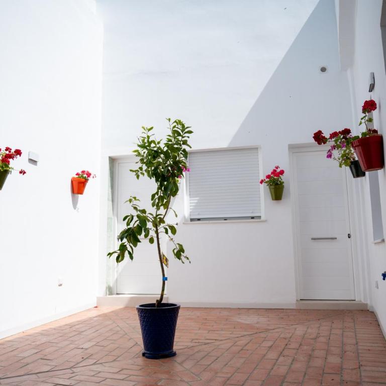 Apartamentos La Barilla - Apartamento de 2 dormitorios - 18