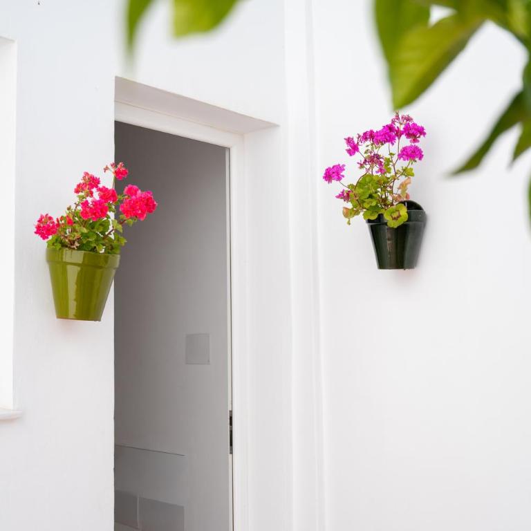 Apartamentos La Barilla - Apartamento de 2 dormitorios - 30