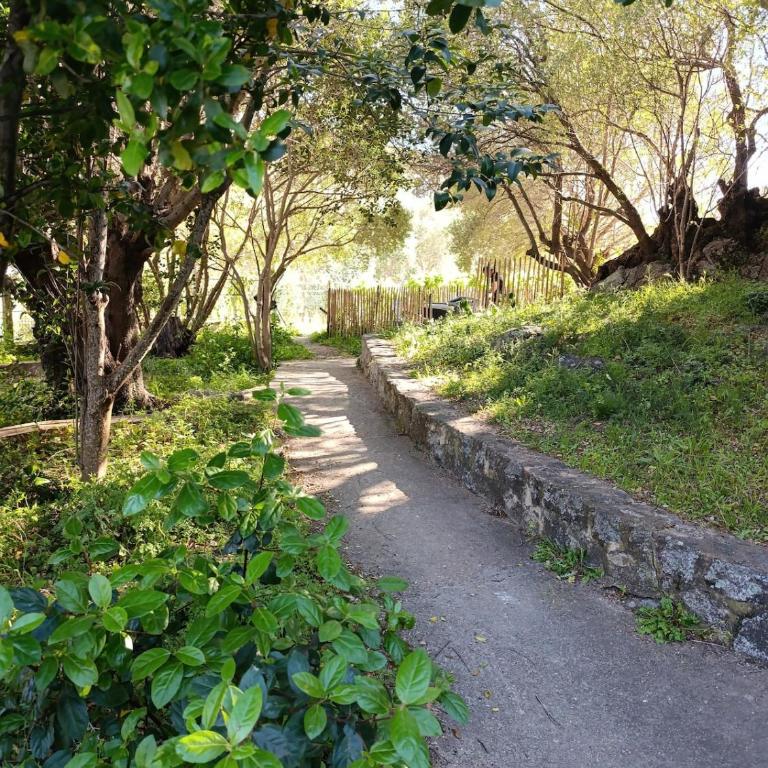 Flat 2 bedroom with 2 bathrooms garden Porto-Vecchio city center - Deluxe Apartment mit 2 Schlafzimmern - 21