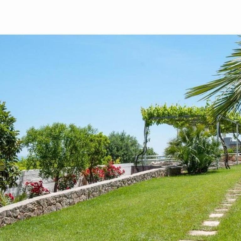 Wonderful villa with swimming pool - Villa Deluxe - 26
