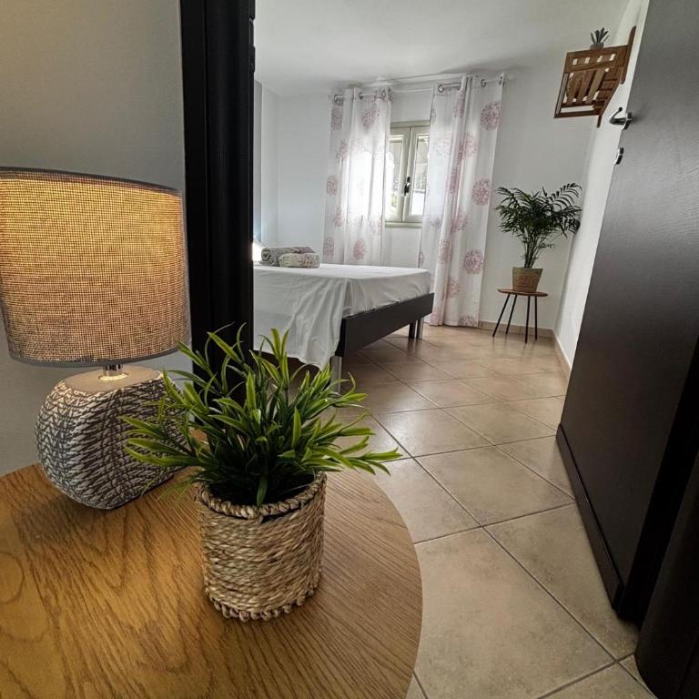Case Cottone - Casa Vacanze - 42