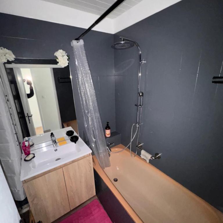 Le Barcarès, vue mer - Appartamento con 2 Camere da Letto - 17