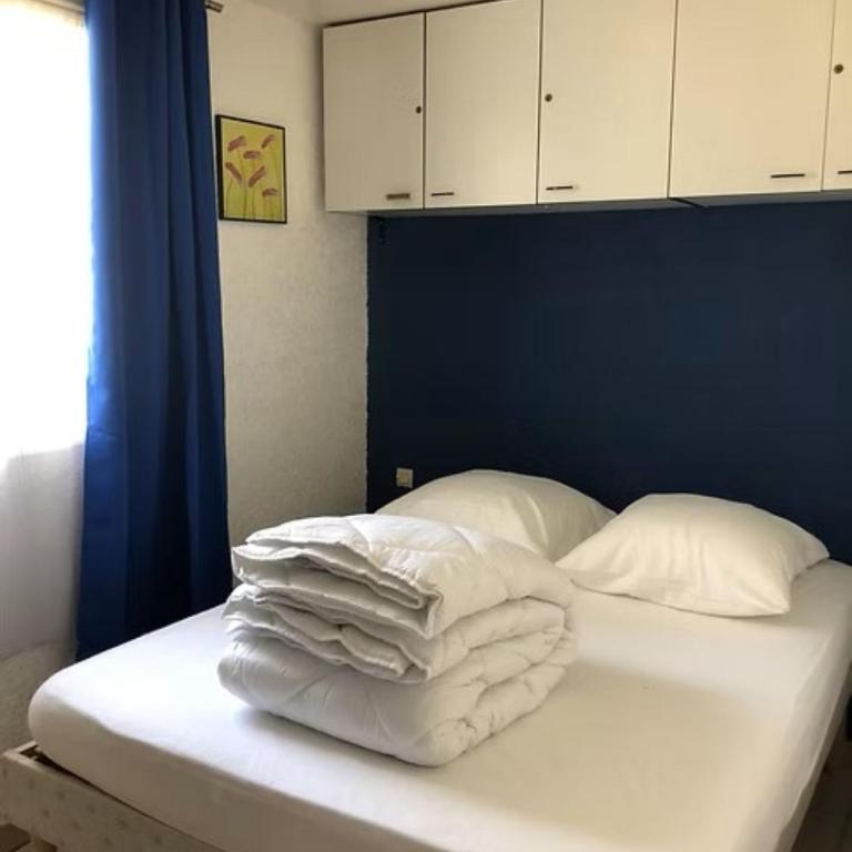 Chalet La Dragonniere - Chalet 2 Chambres - 12