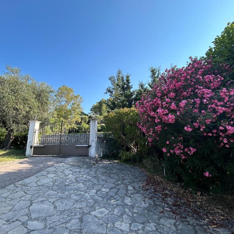 Villa avec piscine dans un écrin de verdure - Villa - 15
