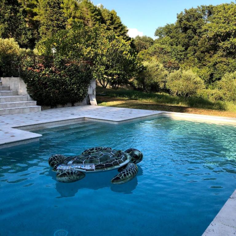 Villa avec piscine dans un écrin de verdure - Villa - 26