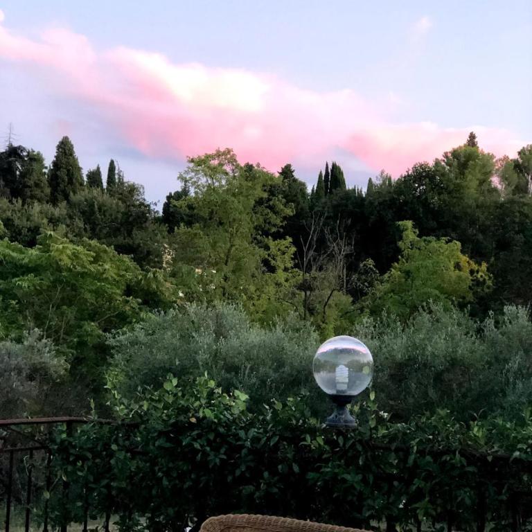 Villa avec piscine dans un écrin de verdure - Villa - 38