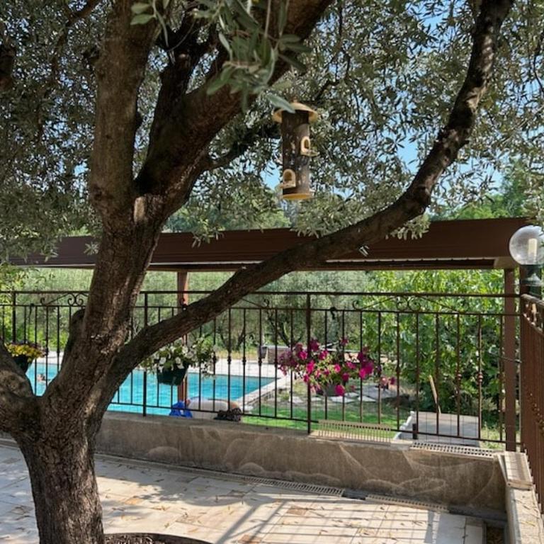 Villa avec piscine dans un écrin de verdure - Villa - 45