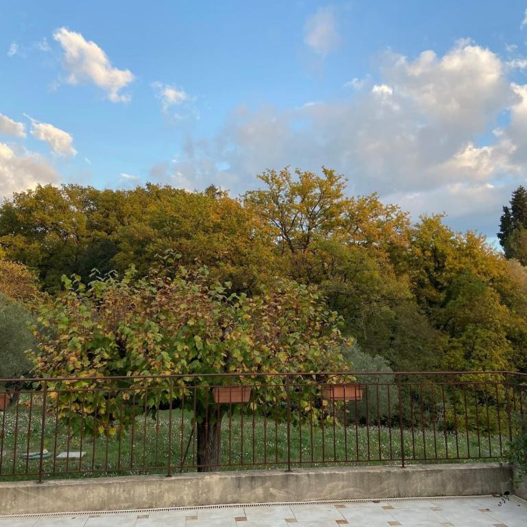 Villa avec piscine dans un écrin de verdure - Villa - 49