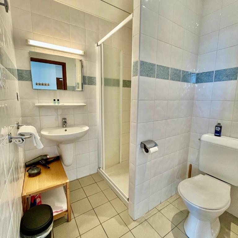 Le Grand Refuge - 29 personnes - 12 chambres - Maison de Vacances - 40