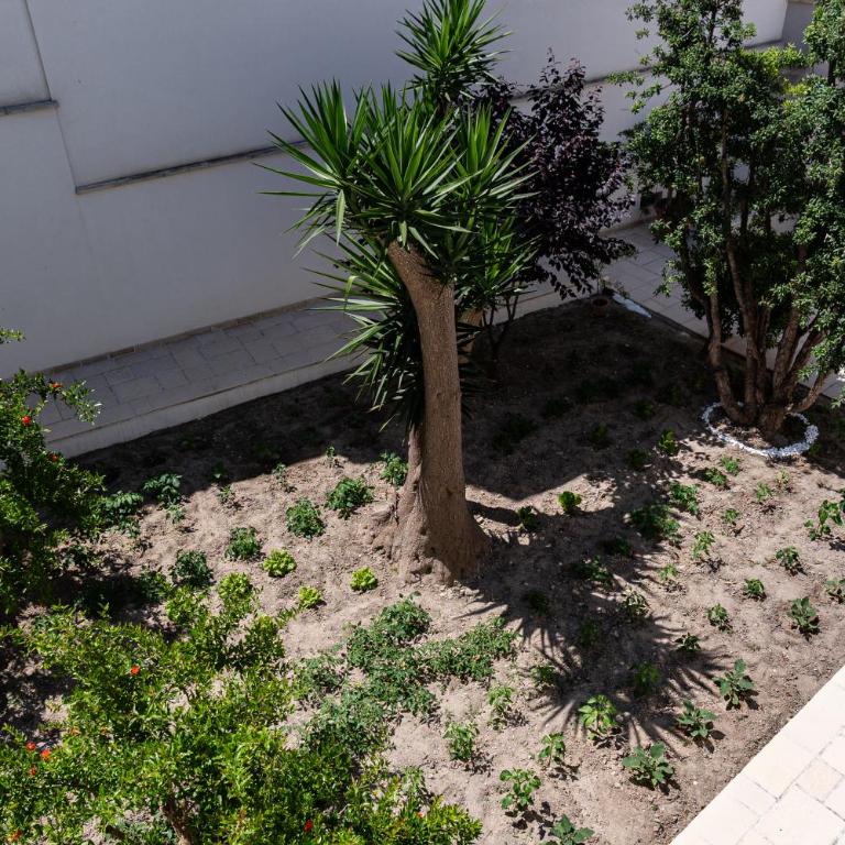 "Corte Tedesco" - Apulian Luxury Suites - Suite Deluxe con Vasca Idromassaggio - 42