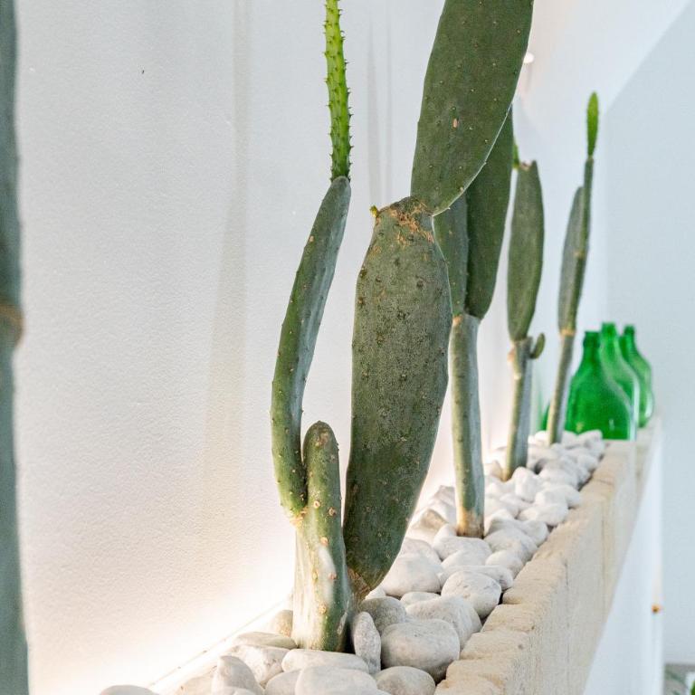 "Corte Tedesco" - Apulian Luxury Suites - Suite Deluxe con Vasca Idromassaggio - 40