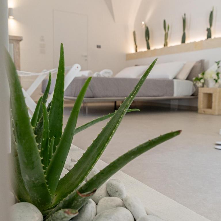 "Corte Tedesco" - Apulian Luxury Suites - Suite Deluxe con Vasca Idromassaggio - 32
