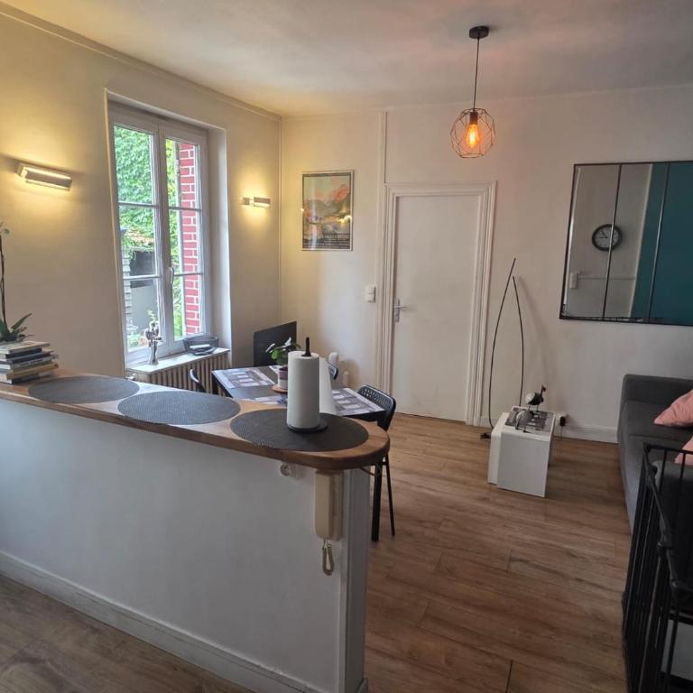 Maison de ville Orléans dans le Quartier Dunois avec parking privatif - Casa con 2 Camere da Letto - 1
