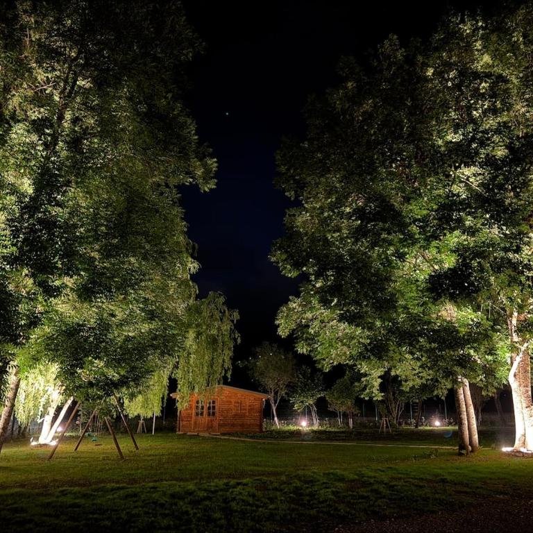 N1 Studio montagne avec Jardin, Calme et nature, Valberg à 18mn, Spa en Option - Studio - 21