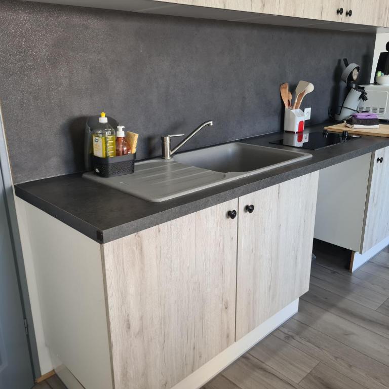 Gambetta Insolite - Appartement 1 Chambre - 23