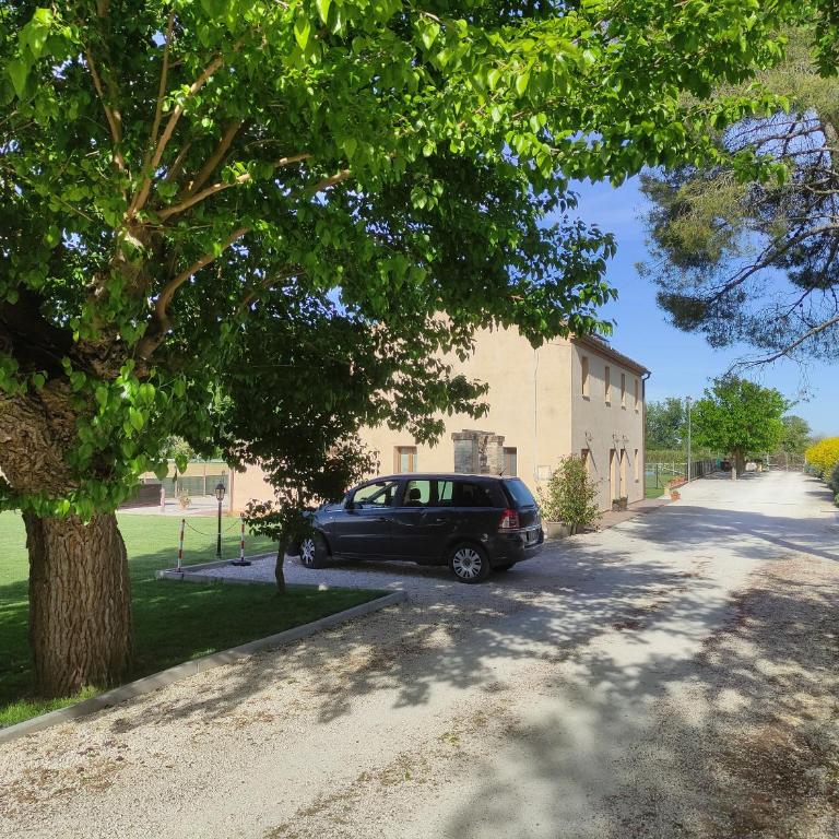Casa Montefiore 13 LT nella tranquilla campagna Marchigiana - Appartamento - Piano Terra - 47