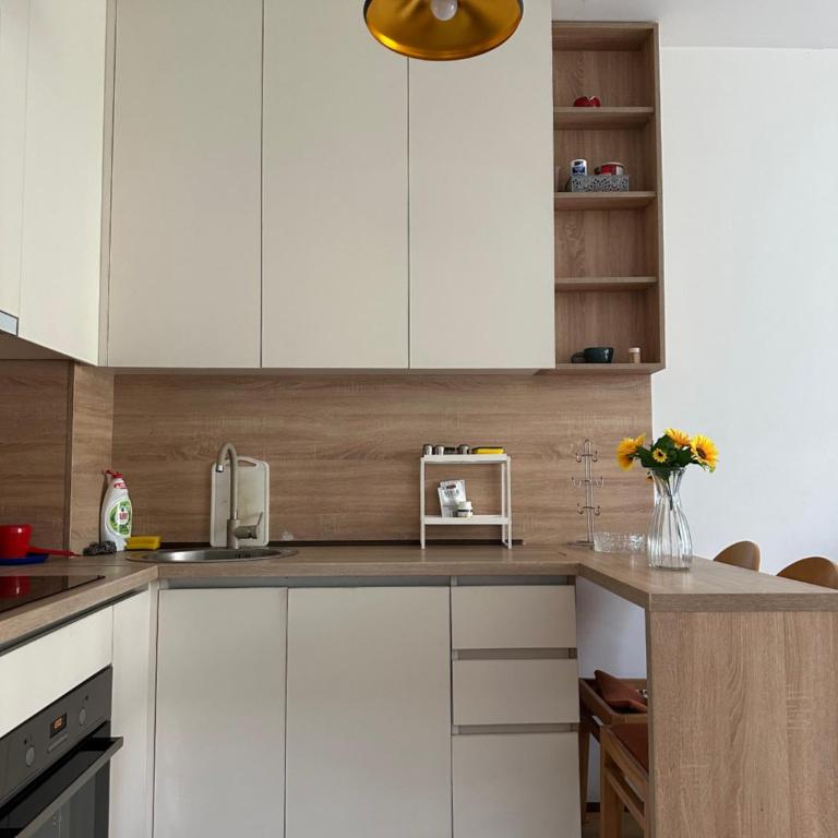 Stex Platinum Central Point - Apartman sa 1 Spavaćom Sobom - 3