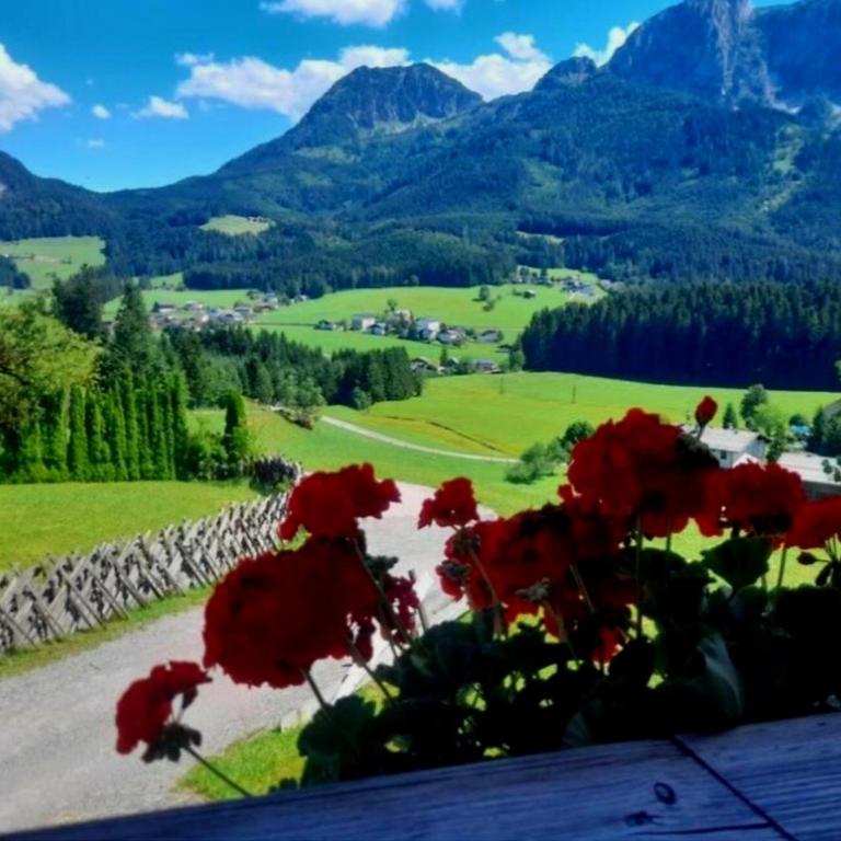 DIRNDL Kammer - Two-Bedroom Apartment - 21