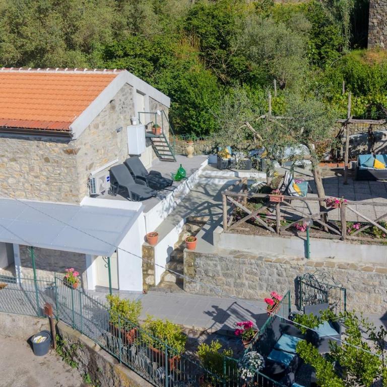 Sweet Rose Studio Apartment with Garden - Appartamento con 1 Camera da Letto - 1
