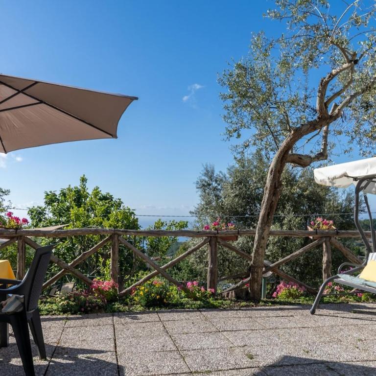 Sweet Rose Studio Apartment with Garden - Appartamento con 1 Camera da Letto - 19