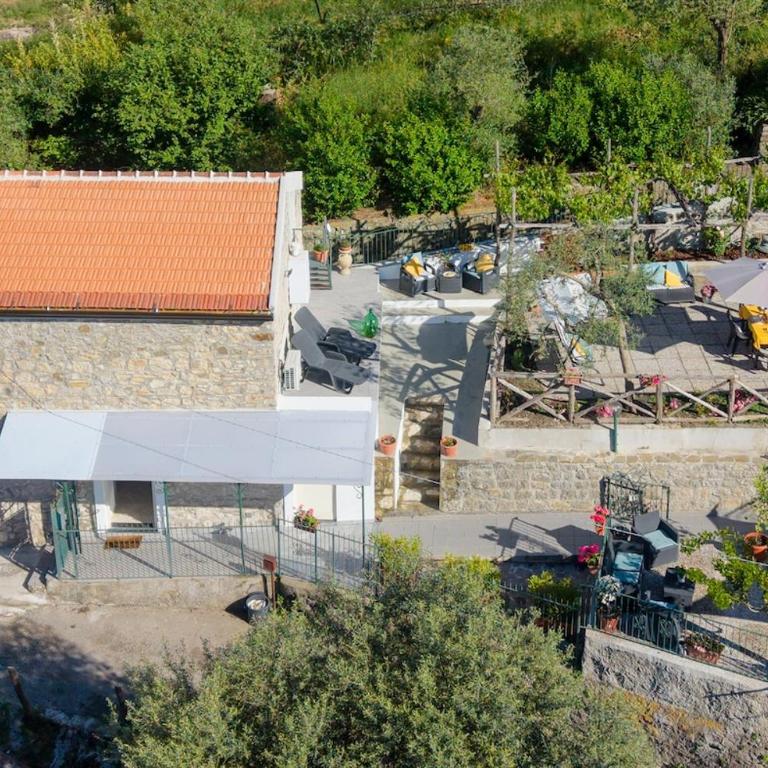 Sweet Rose Studio Apartment with Garden - Appartamento con 1 Camera da Letto - 34