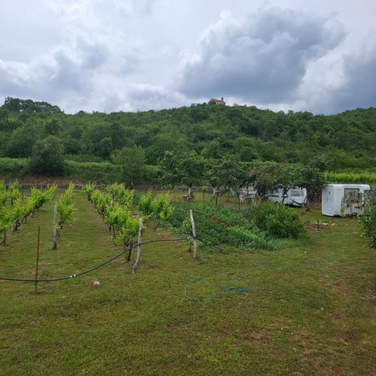 Komani Hideout - Kuća sa 1 Spavaćom Sobom - 3